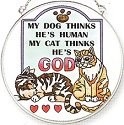 Cats