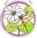Dragonflies