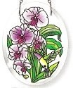 Hummingbirds