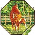 Horses