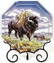 Bison