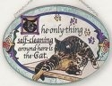 Cats