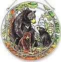 Bears