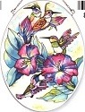 Hummingbirds