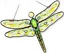 Dragonflies