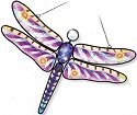 Dragonflies