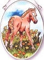 Horses