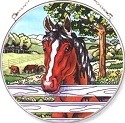 Horses