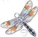 Dragonflies