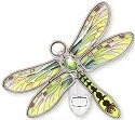 Dragonflies