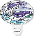 Dolphins