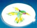 Hummingbirds