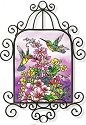 Hummingbirds