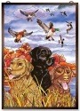Dogs