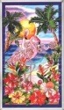 Flamingos