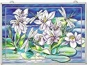 Dragonflies