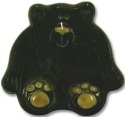 Bears