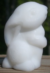 Brian Bunny