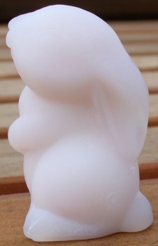 Brian Bunny