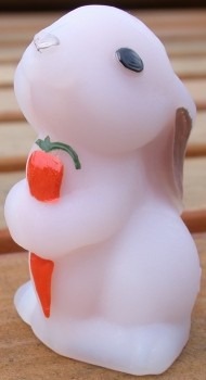 Brian Bunny