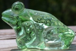 Jeremy Frog