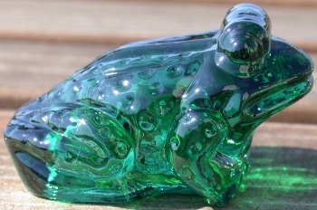 Jeremy Frog