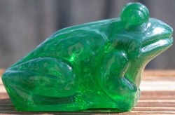Jeremy Frog
