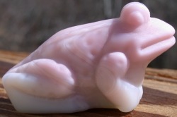 Jeremy Frog