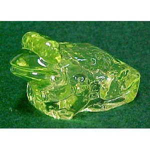 Jeremy Frog