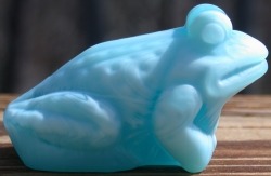 Jeremy Frog