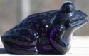 Jeremy Frog