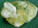 Jeremy Frog