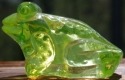 Jeremy Frog