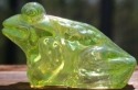 Jeremy Frog