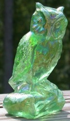 Owl