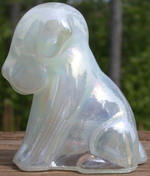 Pooche