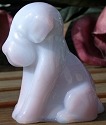 Pooche