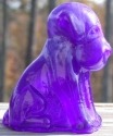 Pooche