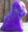 Pooche