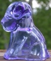 Pooche
