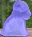 Pooche