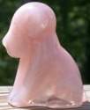 Pooche