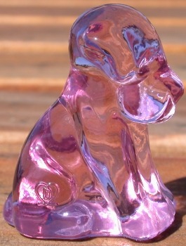 Pooche 1.5 inch