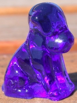 Pooche 1 inch