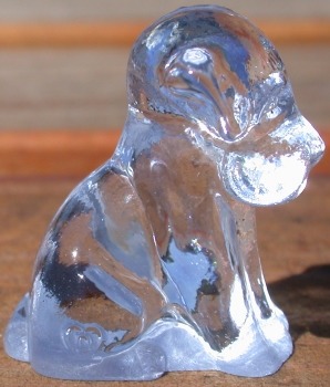 Pooche 1 inch