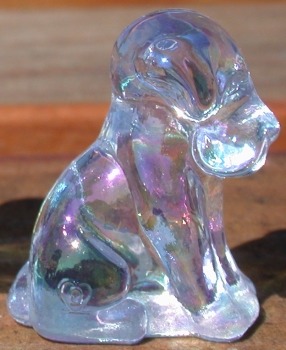 Pooche 1 inch