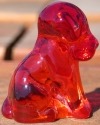 Pooche 1 inch