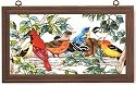 Birds