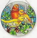 Birds