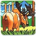 Moose